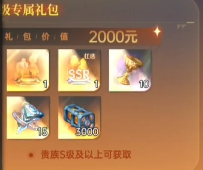 龙族卡塞尔之门贵族等级详解,龙族卡塞尔之门贵族价格与等级对应关系全解析