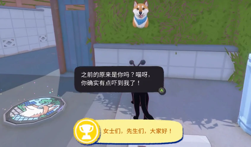 小猫咪大城市生存指南,小猫咪遇到狗的应对策略与安全建议