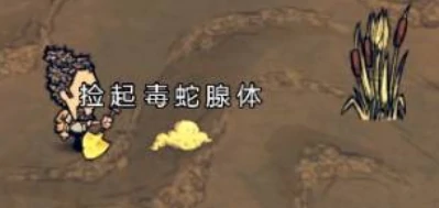 饥困荒野手游解毒方法大全,饥困荒野手游中毒状态快速解除指南