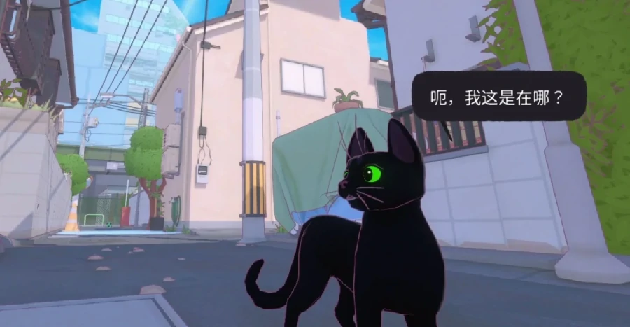 小猫咪大城市太妃的新照任务攻略,小猫咪大城市太妃拍照任务全流程详解