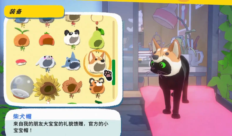 小猫咪大城市生存指南,小猫咪遇到狗的应对策略与安全建议