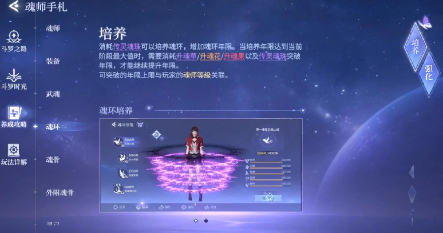 斗罗大陆传承历练攻略,斗罗大陆高效率通关与资源分配技巧