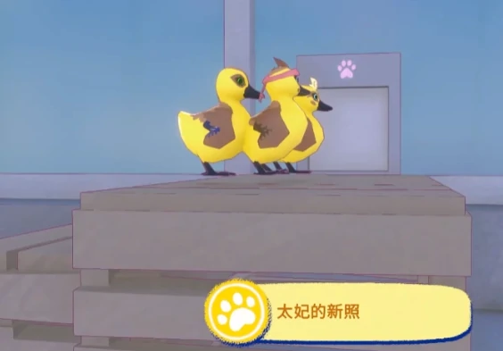 小猫咪大城市太妃的新照任务攻略,小猫咪大城市太妃拍照任务全流程详解