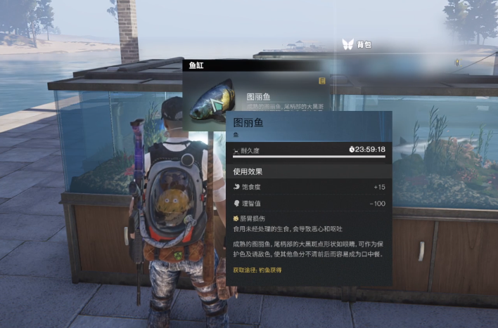 七日世界鱼缸怎么制作,七日世界鱼缸制作分享