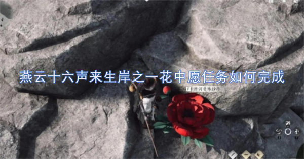 燕云十六声来生岸之一花中愿任务攻略,燕云十六声来生岸之一花中愿任务完成方法,燕云十六声