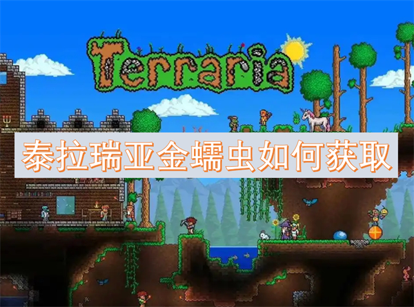 泰拉瑞亚金蠕虫获得方式,泰拉瑞亚金蠕虫怎么得,泰拉瑞亚
