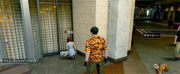 如龙8外传夏威夷海盗吾朗王国全动物在哪,如龙8外传夏威夷海盗吾朗王国全动物位置一览,如龙8外传夏威夷海盗