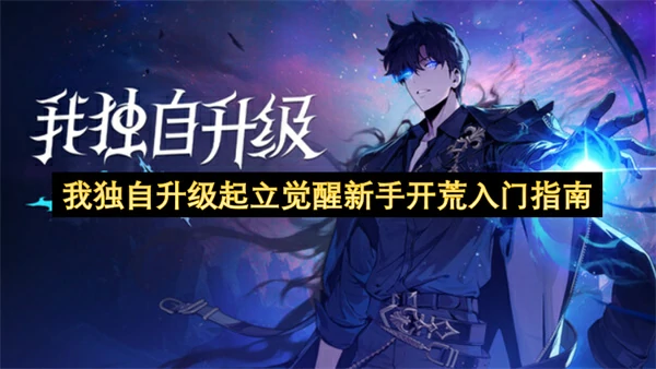 我独自升级起立觉醒新手怎么玩,我独自升级起立觉醒新手开荒攻略,我独自升级起立觉醒