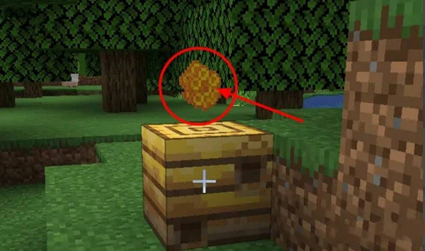 我的世界怎么养殖蜜蜂,我的世界蜜蜂,我的世界,我的世界