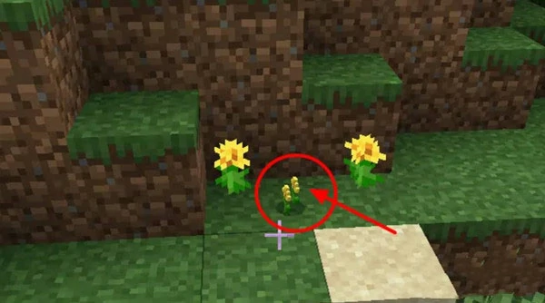 我的世界怎么养殖蜜蜂,我的世界蜜蜂,我的世界,我的世界