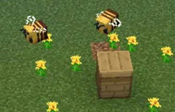 我的世界怎么养殖蜜蜂,我的世界蜜蜂,我的世界,我的世界