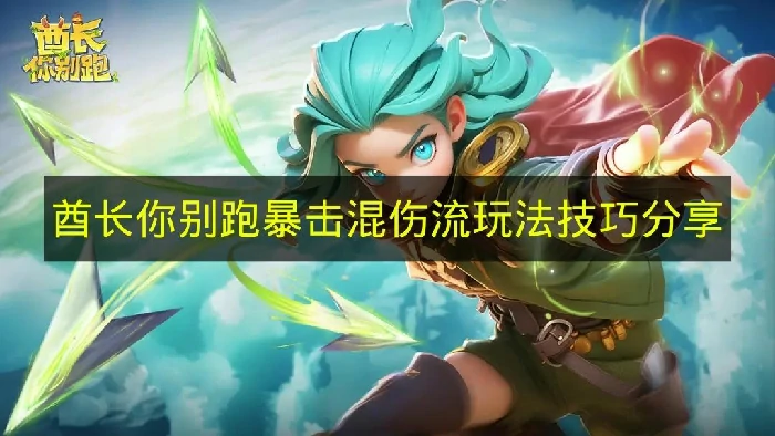 酋长你别跑暴击混伤流怎么玩,酋长你别跑流派,酋长你别跑