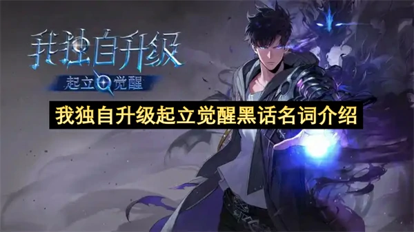 我独自升级起立觉醒黑话名词详解,我独自升级起立觉醒黑话名词是什么,我独自升级起立觉醒