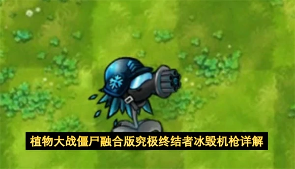 植物大战僵尸融合版究极终结者冰毁机枪介绍,植物大战僵尸融合版究极终结者冰毁机枪强度如何,植物大战僵尸融合版