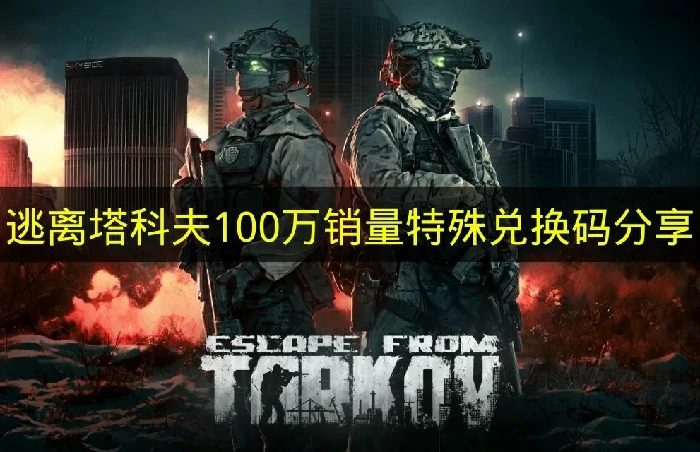 逃离塔科夫特殊兑换码是什么,逃离塔科夫兑换码,逃离塔科夫