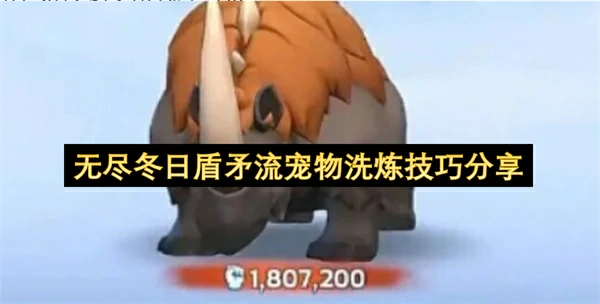 无尽冬日盾矛流宠物怎么洗炼,无尽冬日盾矛流宠物洗炼攻略,无尽冬日,无尽冬日