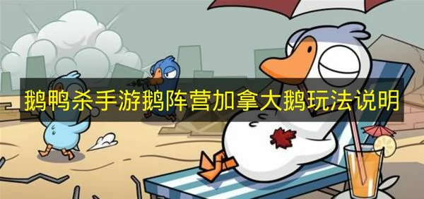 鹅鸭杀手游鹅阵营加拿大鹅怎么玩,鹅鸭杀手游鹅阵营加拿大鹅介绍,鹅鸭杀手游