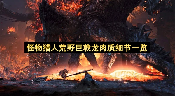 怪物猎人荒野巨戟龙肉质细节分享,怪物猎人荒野
