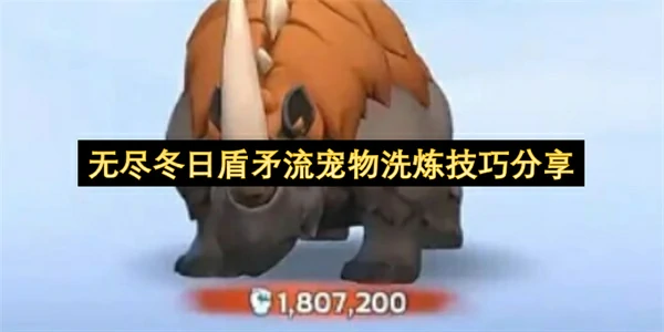 无尽冬日盾矛流宠物洗炼方法攻略,无尽冬日盾矛流宠物怎么洗炼,无尽冬日,无尽冬日
