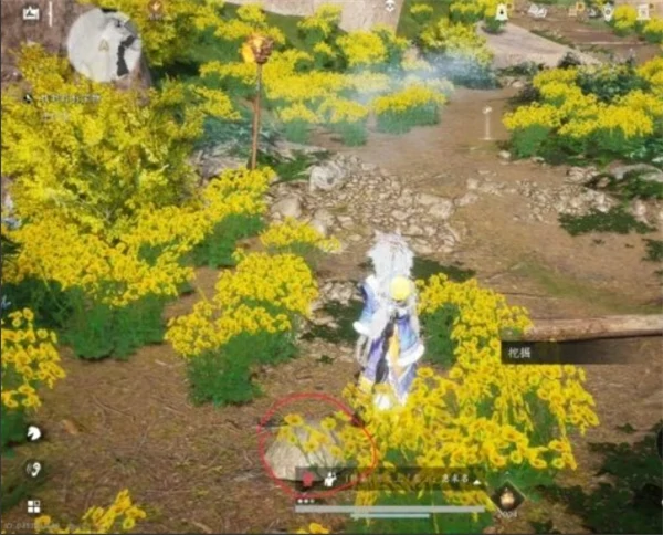 燕云十六声踏岳寻珍长老宝物位置一览,燕云十六声踏岳寻珍长老宝物收集攻略,燕云十六声,燕云十六声