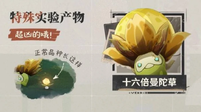 原神月之四版本全新传奇首领有哪些,原神月之四版本,原神,原神