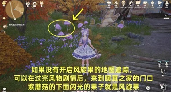 无限暖暖风旋果怎么采集,无限暖暖风旋果采集攻略,无限暖暖,无限暖暖