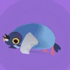 疯狂的鸽子表情包有哪些,疯狂的鸽子表情包大全,疯狂的鸽子