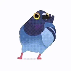 疯狂的鸽子表情包有哪些,疯狂的鸽子表情包大全,疯狂的鸽子