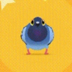 疯狂的鸽子表情包有哪些,疯狂的鸽子表情包大全,疯狂的鸽子