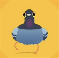 疯狂的鸽子表情包有哪些,疯狂的鸽子表情包大全,疯狂的鸽子