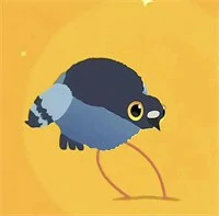 疯狂的鸽子表情包有哪些,疯狂的鸽子表情包大全,疯狂的鸽子