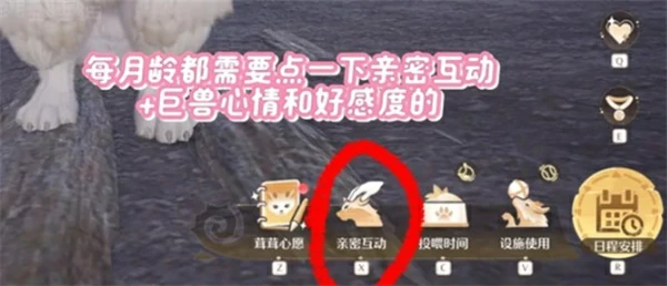 无限暖暖巨兽养成攻略,无限暖暖巨兽怎么养成,无限暖暖,无限暖暖