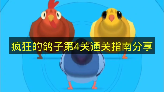 疯狂的鸽子第4关怎么过,疯狂的鸽子第4关攻略,疯狂的鸽子