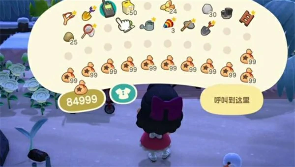 动物森友会电源叔叔功能介绍,动物森友会电源叔叔有什么用,动物森友会