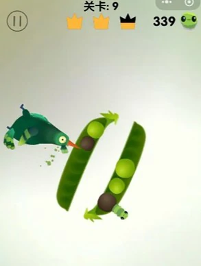 疯狂的鸽子第9关怎么过,疯狂的鸽子第9关攻略,疯狂的鸽子