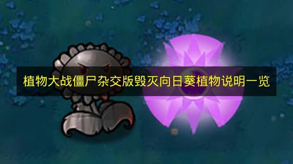 植物大战僵尸杂交版毁灭向日葵属性是什么,植物大战僵尸杂交版毁灭向日葵属性玩法,植物大战僵尸杂交版