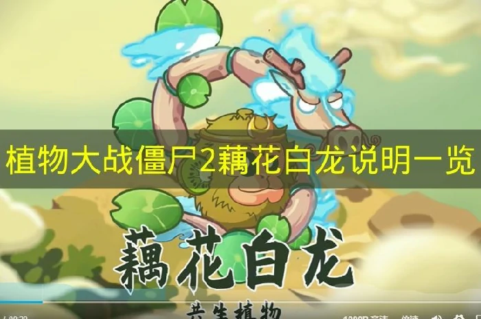 植物大战僵尸2藕花白龙品质是什么,植物大战僵尸2藕花白龙介绍,植物大战僵尸2