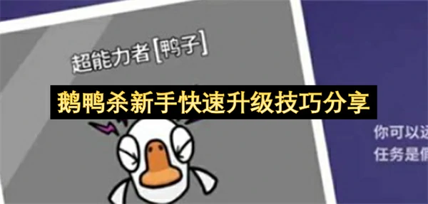 鹅鸭杀新手高效获取经验方法,鹅鸭杀新手升级攻略,鹅鸭杀