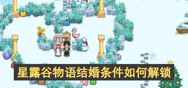 星露谷物语结婚条件是什么,星露谷物语如何与npc结婚,星露谷物语