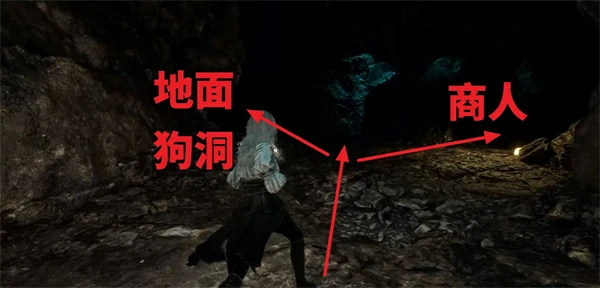 光与影33号远征队繁叶结获取方法,光与影33号远征队繁叶结怎么获得,光与影33号远征队