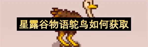 星露谷物语鸵鸟获取方法,星露谷物语鸵鸟怎么获得,星露谷物语