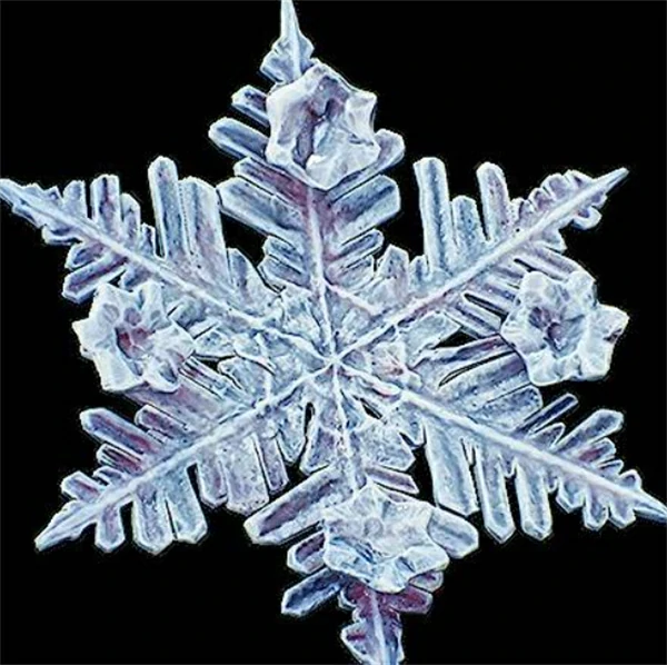 光与影33号远征队吕涅雪结获取方法,光与影33号远征队吕涅雪结怎么获得,光与影33号远征队