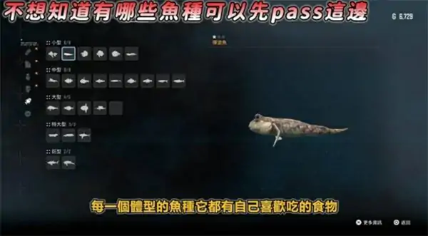 剑星全钓鱼点位一览,剑星全钓点汇总,剑星