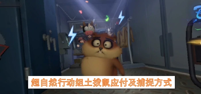 超自然行动组土拨鼠应付及捕捉方法,超自然行动组土拨鼠,超自然行动组