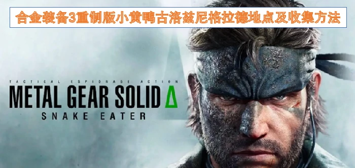 合金装备3重制版小黄鸭在哪里,合金装备3重制版小黄鸭地点及收集方法,合金装备3重制版