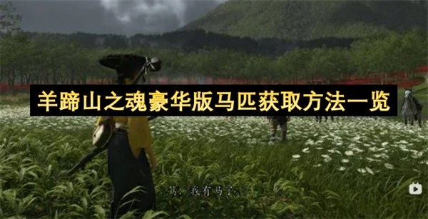 羊蹄山之魂豪华版马匹怎么获取,羊蹄山之魂豪华版马匹获得攻略,羊蹄山之魂