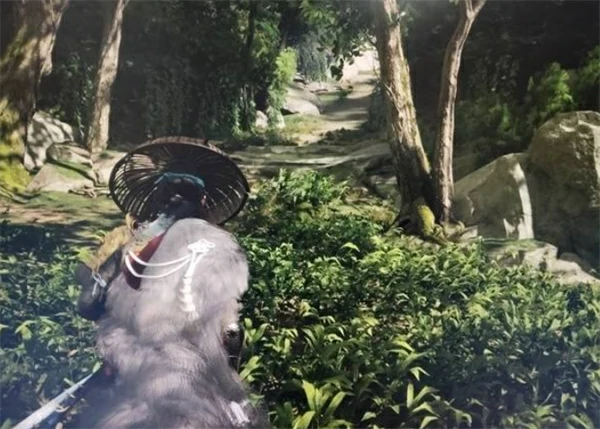 羊蹄山之魂俯瞰田野亡者之柱怎么上去,羊蹄山之魂俯瞰田野亡者之柱入口位置一览,羊蹄山之魂