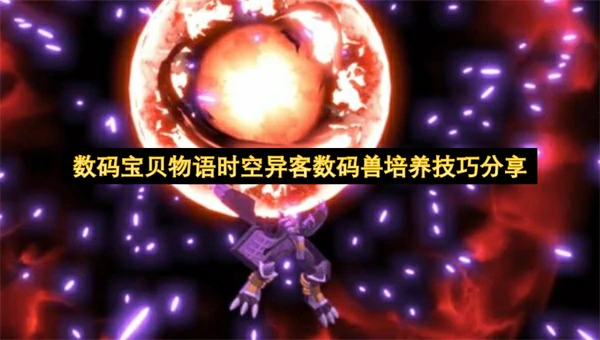 数码宝贝物语时空异客数码兽培养指南,数码宝贝物语时空异客数码兽强化途径说明,数码宝贝物语时空异客