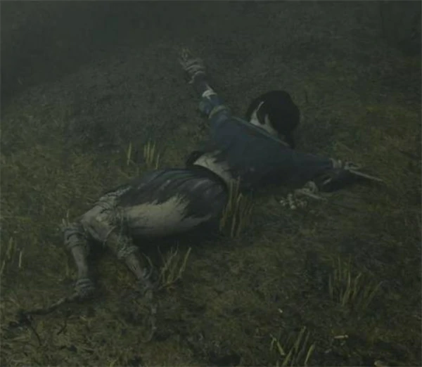 寂静岭f最高难度稻草人谜题解密攻略,寂静岭f最高难度稻草人谜题怎么解密,寂静岭f