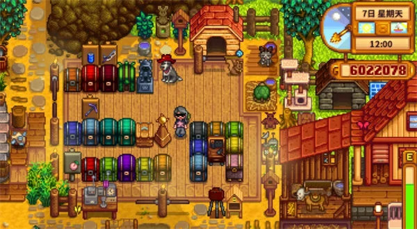 星露谷物语物品怎么整理分区,星露谷物语物品整理分区技巧,星露谷物语